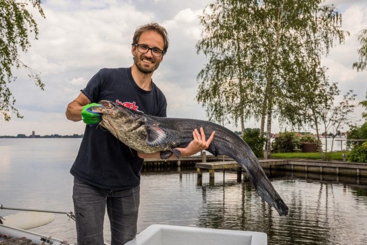 Emiel Derks von Sportvisserij Nederland leitete die Studie über Welse in den Niederlanden. Foto: Sportvisserij Nederland