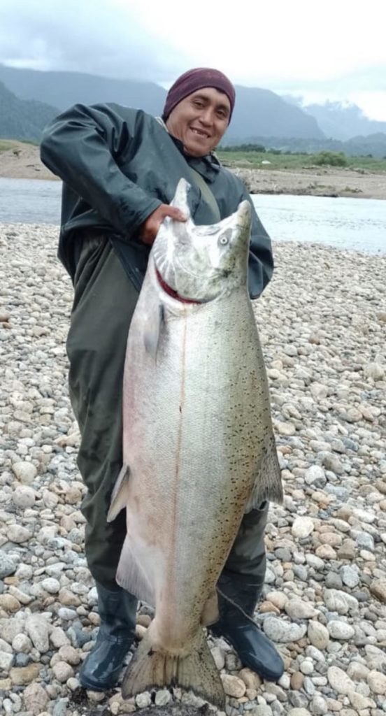 Der Fisch brachte laut „Rutas Chilenas“ 48 kg auf die Waage. Foto: Rutas Chilenas (via Facebook)