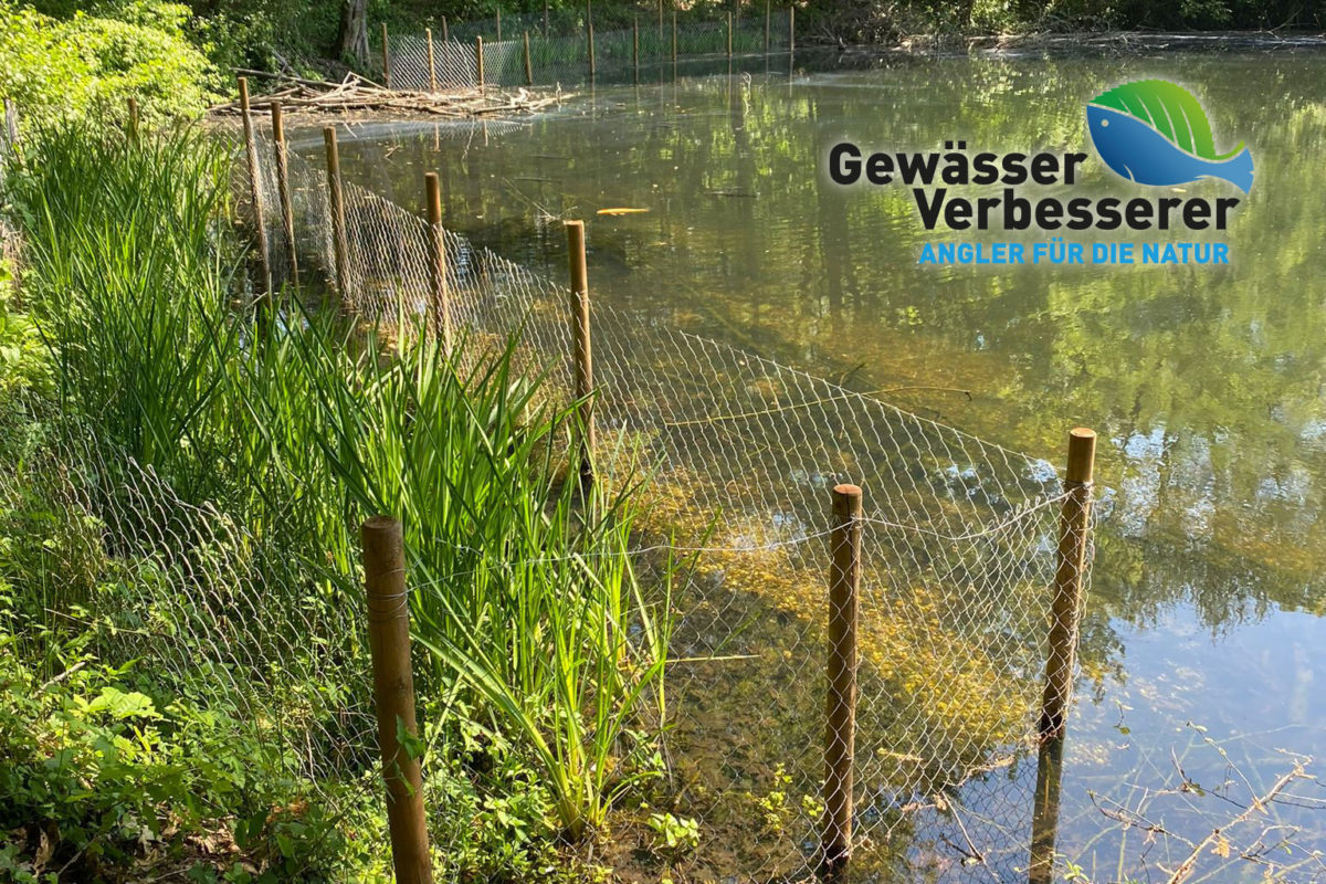 Das lebt im Wasser: Schaukasten am Tegelsee vermittelt Kindern die Natur