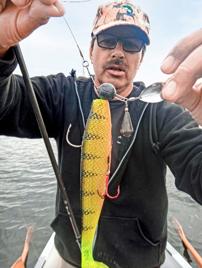 Gummi im Firetiger-Design, ­Spinnerblatt und roter Drilling: Mit dieser ­Combo reizt Angel-Guide Henry Michalski die Hechte im Plöner See zum Biss. Foto: Archiv