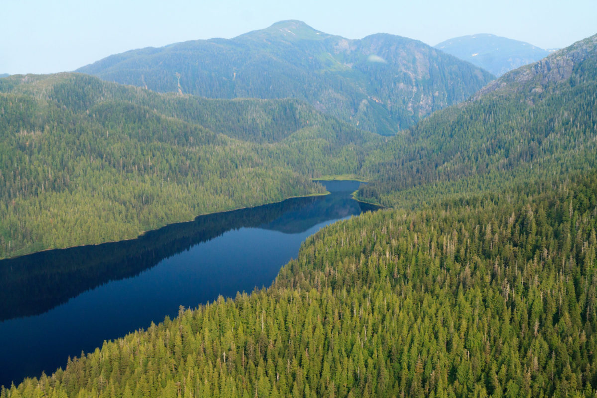 Der Tongass National Forest ist der größte gemäßigte Regenwald der Erde. Das Gebiet im Südosten von Alaska steht wieder unter Naturschutz, nachdem die Trump-Regierung das Gesetz kippte. Foto: Flickr / Velkiira