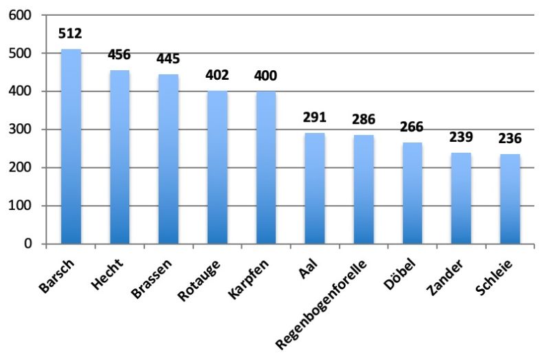 Bei den Fischarten hatten unsere Leser klare Favoriten. Allein die 5 beliebtesten Fische machten 43,3% aller Meldungen aus! Grafik: Blinker
