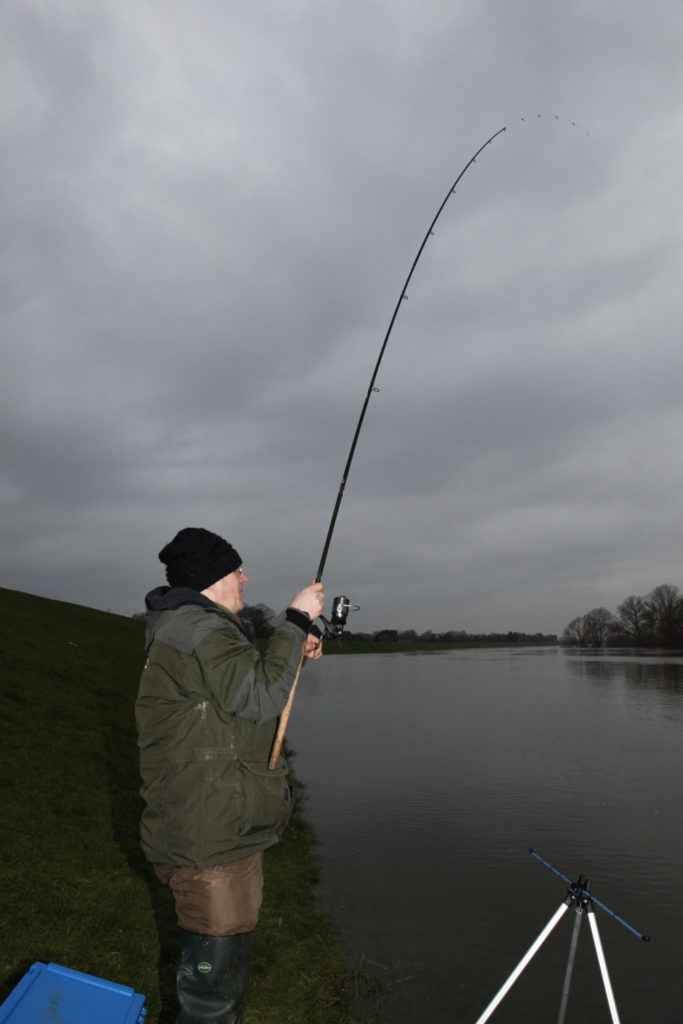 Nur mit einer hoch gehaltenen Rute lassen sich die Fische um Hindernisse herum dirigieren. Foto: Archiv