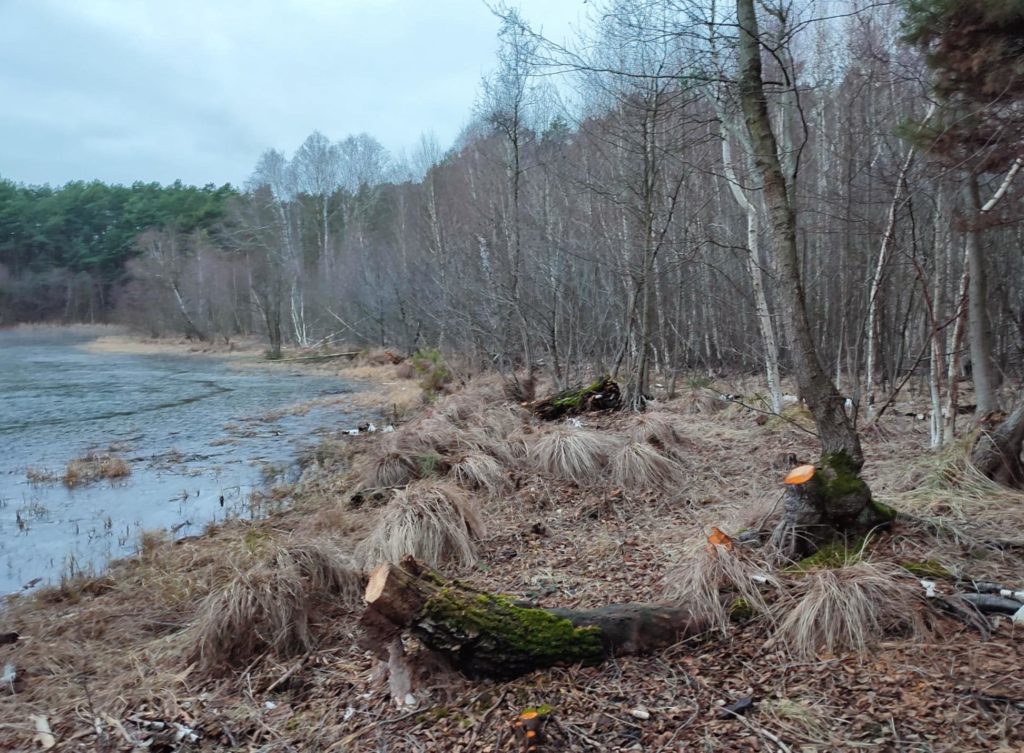 Die Angler in Luckenwalde betrieben intensive See- und Moorpflege. Foto: Kreisanglerverband Luckenwalde e.V.