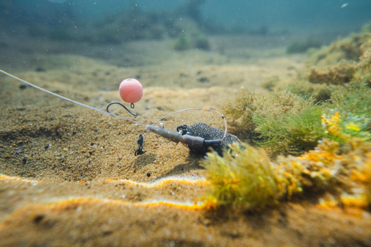 Ungünstig: Durch den weichen Boom hat sich das Hinged Stiff Rig verwickelt. Foto: F. Pippardt