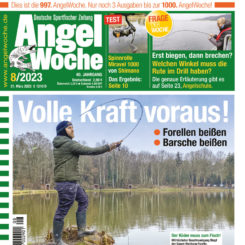 AngelWoche