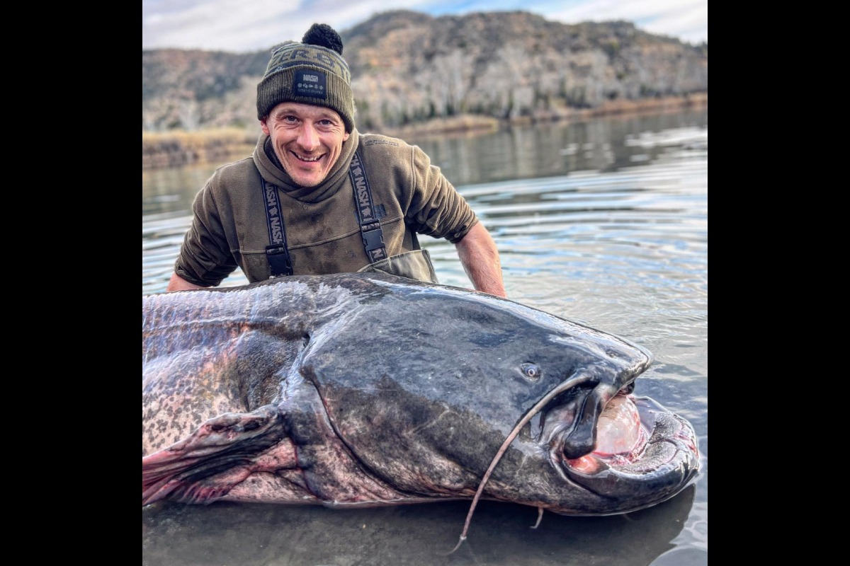 100-Kilo-Wels zieht Angler durch den Fluss - BLINKER