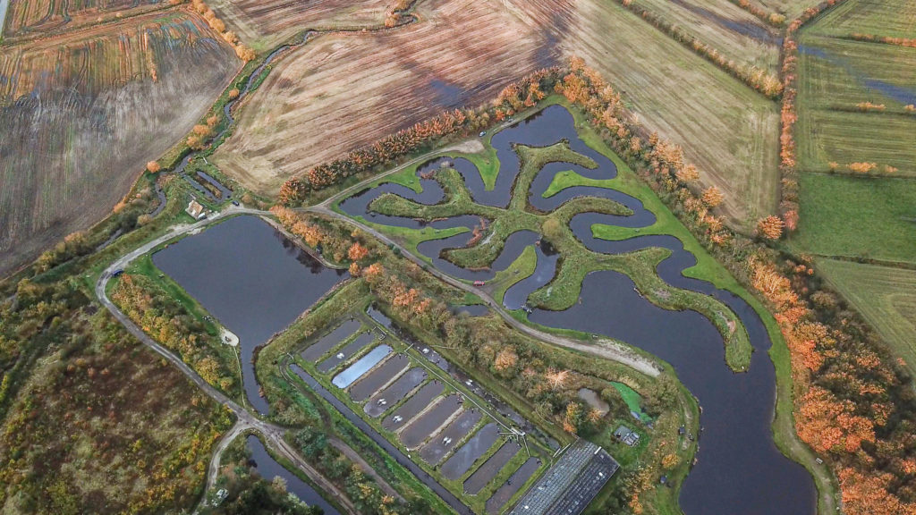 Auf der Anlage Oxriver in Dänemark sind Forellenseen und Flussläufe gemischt. Foto: M. Kahlstadt