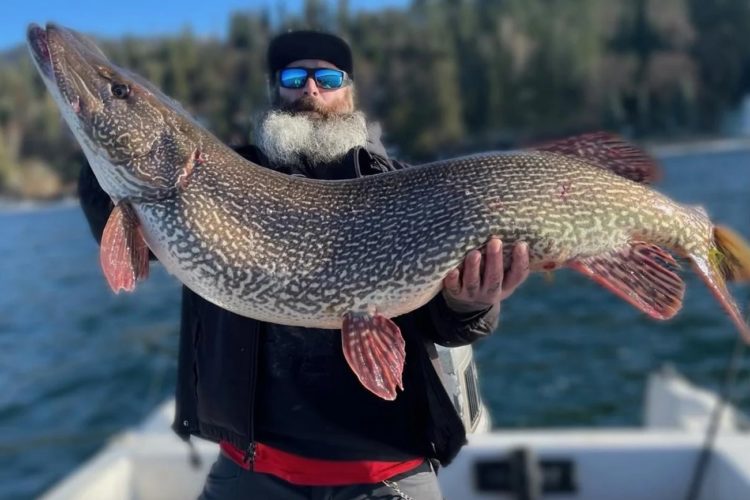 Mit einem Gewicht von 17,2 kg ist dieser Fang von Angler Thomas Francis der aktuelle Rekordhecht in Idaho. Foto: IDFG