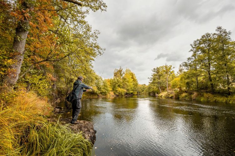 Wie gemalt schlängelt der Emån sich durch die Landschaft. Der 220 km lange Fluss ist die Heimat von vielen Fischarten: Hecht, Barsch, Döbel, Weißfischen – und sogar Meerforellen und Lachsen. Foto: Waldemar Krause