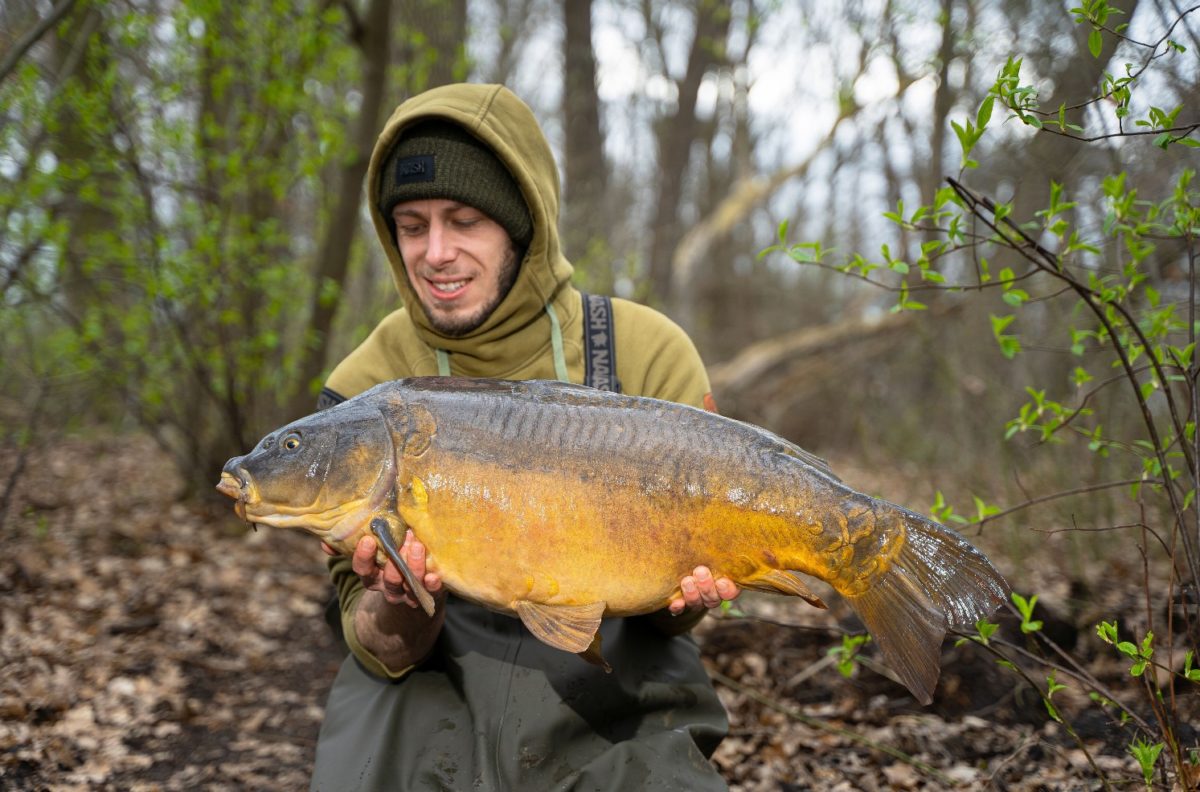 Angler präsentiert einen Spiegelkarpfen