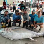 Trotz gebrochener Rute konnten die Angler der Dolphin Express diesen 307 kg schweren Thunfisch landen. Foto: Dolphin Docks Deep Sea Fishing