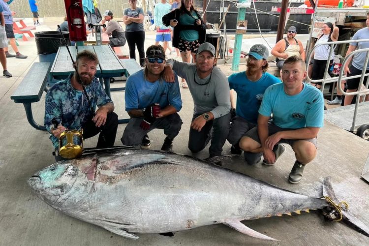 Trotz gebrochener Rute konnten die Angler der Dolphin Express diesen 307 kg schweren Thunfisch landen. Foto: Dolphin Docks Deep Sea Fishing