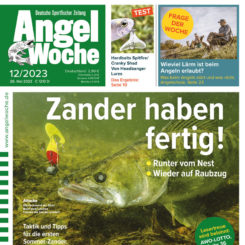 AngelWoche