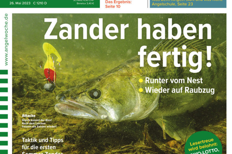 Die neue AngelWoche 12/2023 – ab 26. Mai im Handel!