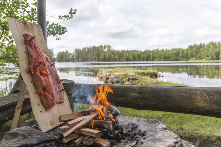Finnland – Angeln im Land der tausend Seen