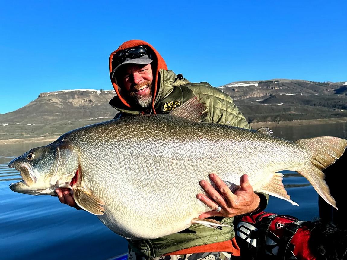 Angler fängt potenziellen WeltrekordSeesaibling BLINKER