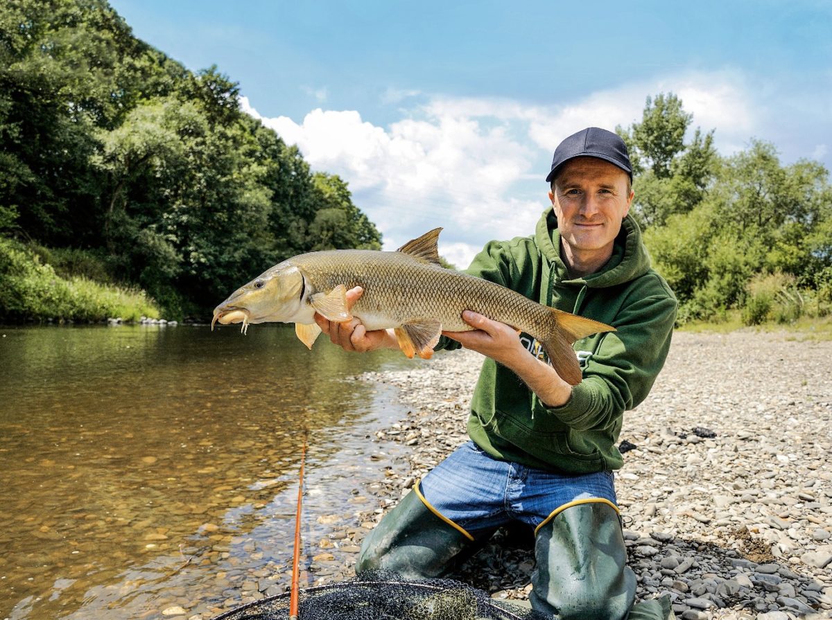 Auf Barben nie zu leicht angeln! Fische von 3 bis 5 Kilo sind unglaublich stark. Foto: W. Krause
