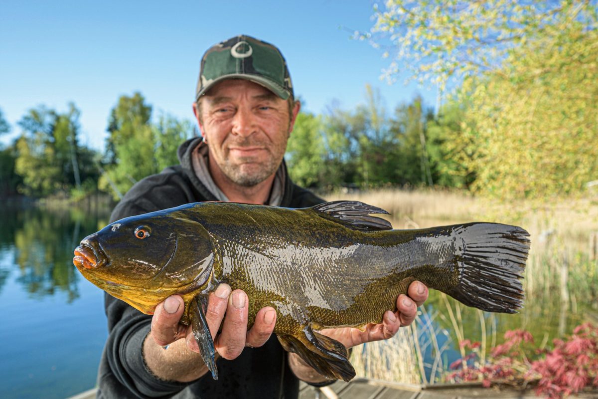 Welche Fische beißen beim Angeln im Mai?