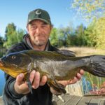 Angler mit Schleie, gefangen beim Angeln im Mai