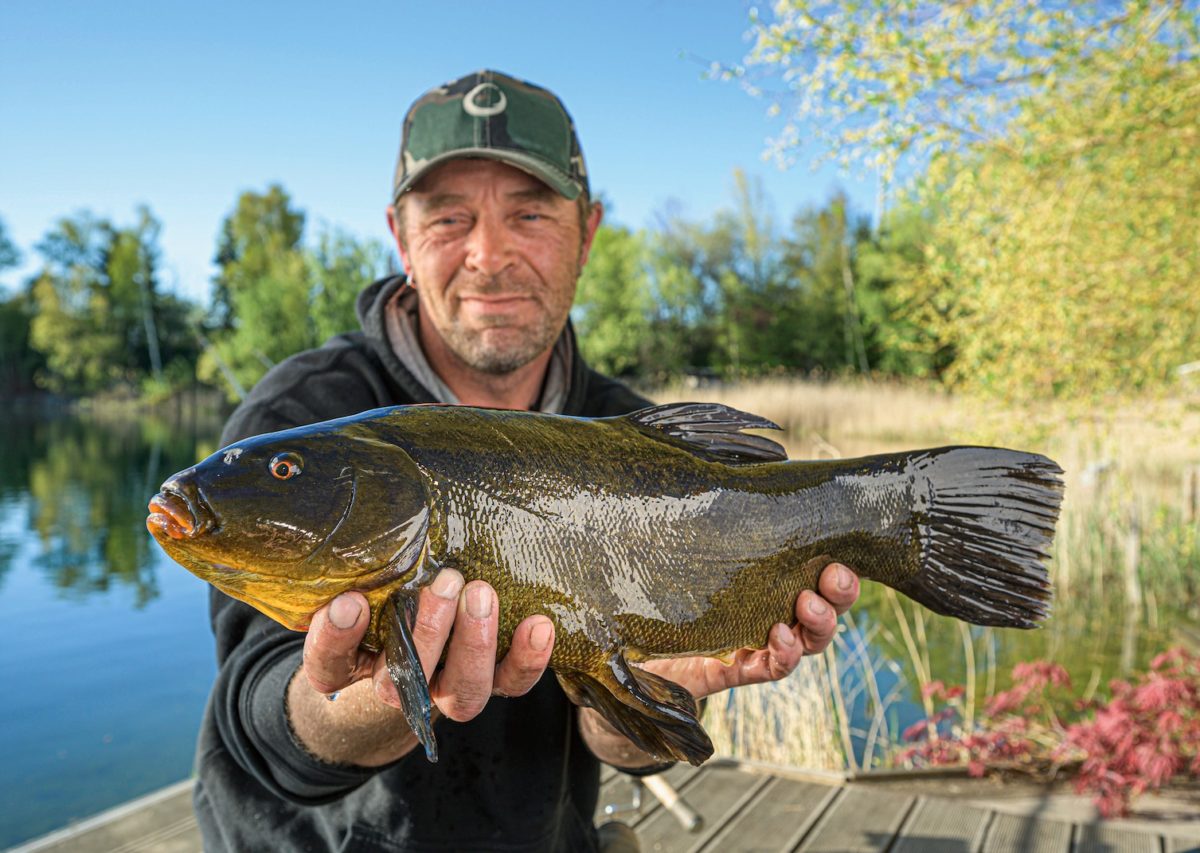 Angler mit Schleie, gefangen beim Angeln im Mai