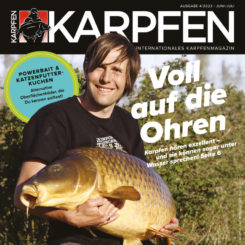 karpfen