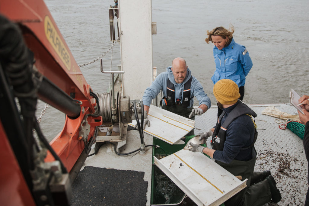 Befischung auf der Oder mit Umweltministerin Steffi Lemke im April 2023.