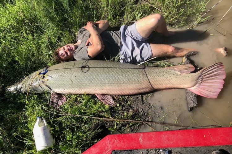 Der Alligatorhecht von Paul Hefner aus Texas überragte den Angler um 30 cm.