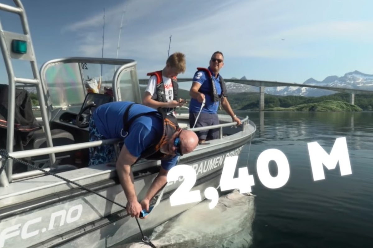 Mit 2,40 m war der Heilbutt, den Bjørn Henrik Zahl und sein Vater am Saltstarumen fingen, ein absoluter Riese. Sie ließen den Fisch wieder frei. Foto: Angelreisen Hamburg (via Facebook)