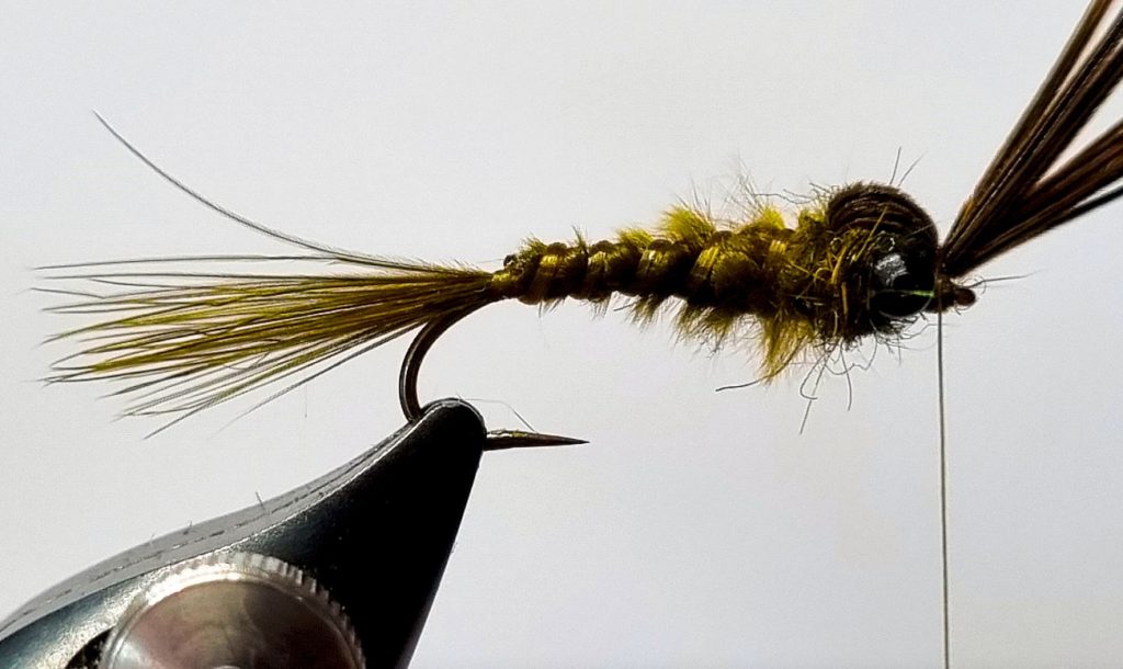Eine Fasanenschwanzfeder bildet die Flügelscheide der Damsel Fly Nymph. Foto: M. Dibiasi