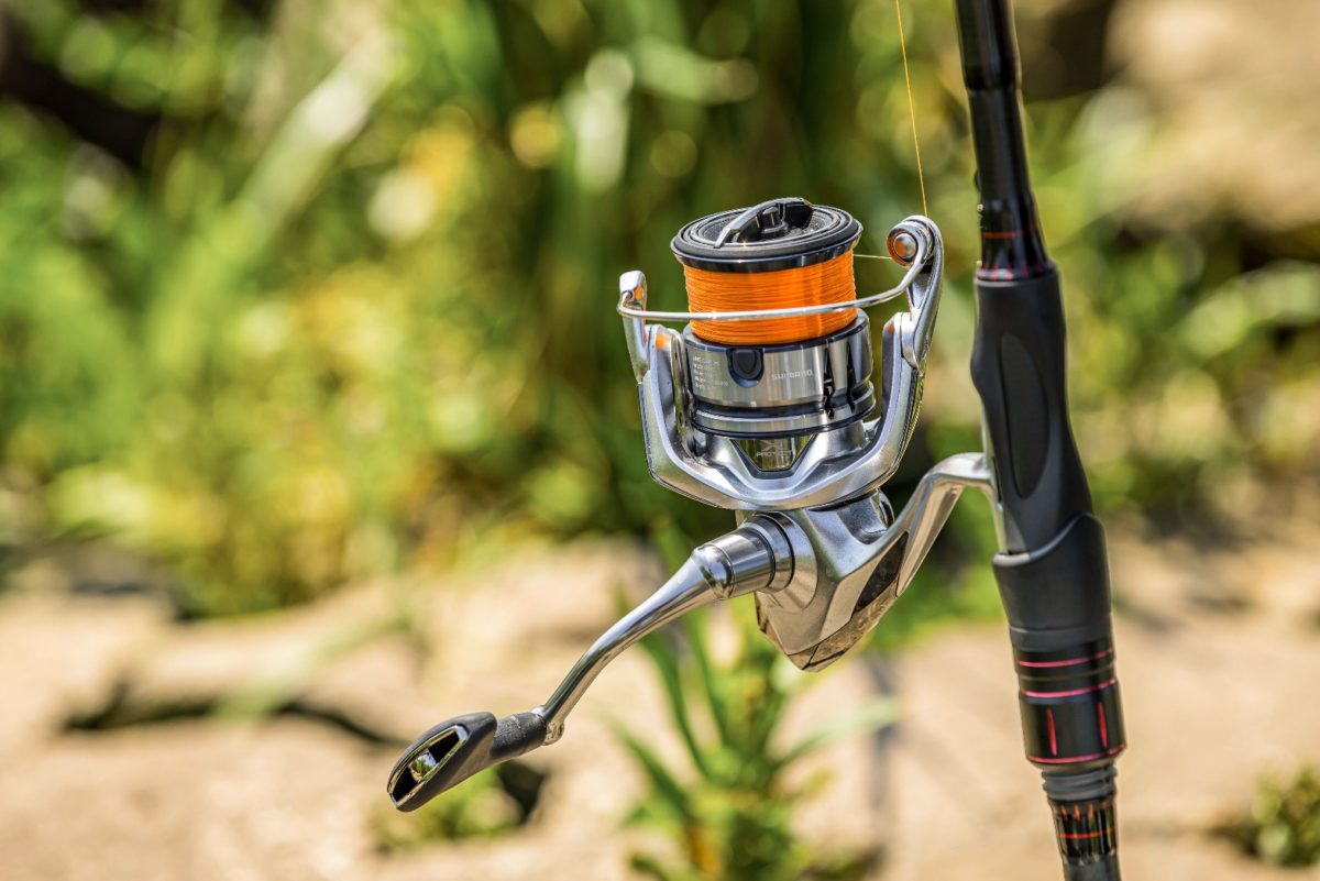 Shimano Stradic FL im Test: Feinkost für Spinnangler - BLINKER