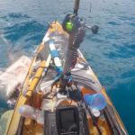 Ein Tigerhai attackiert das Kajak eines Anglers.