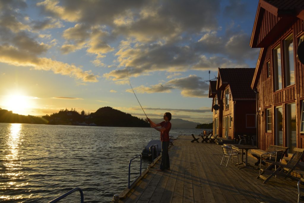 Traumrevier in Südwestnorwegen: Im Boknafjord die bunte Fischvielfalt erleben.