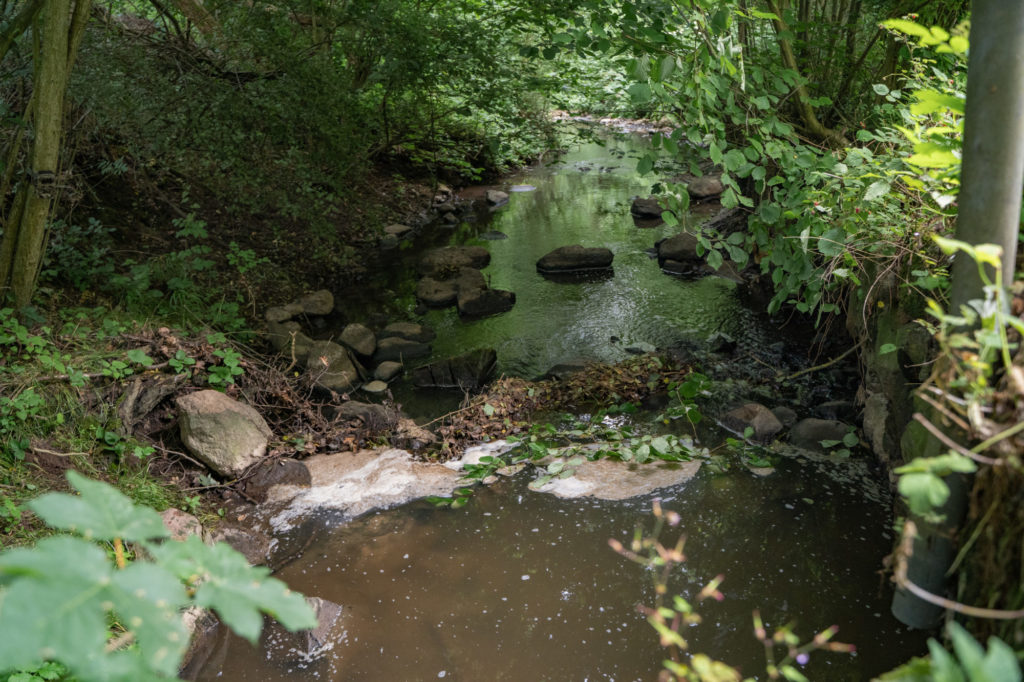 Die Verunreinigung sorgte binnen Stunden für übel stinkendes, trübes Wasser und die Bildung von Schaumteppichen in dem sonst sauber und lebendig dahinfließendem Wasser der Lippingau.