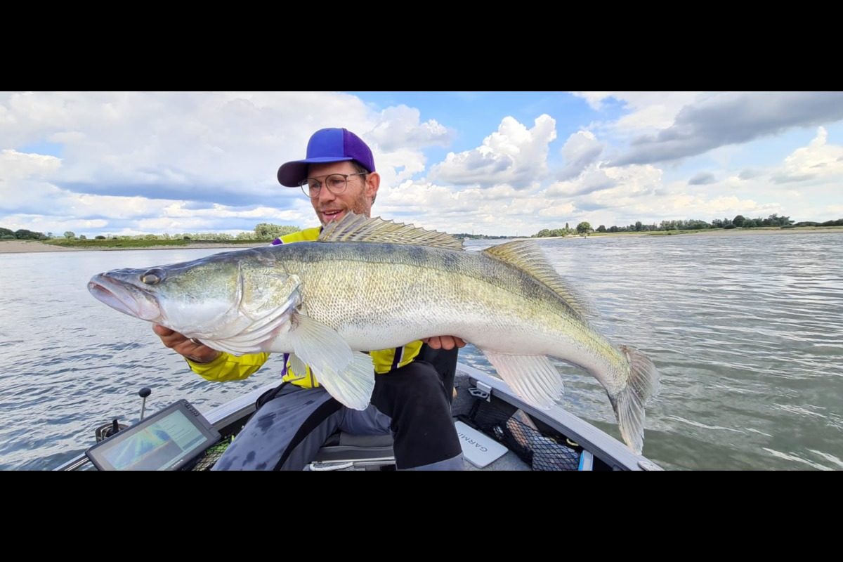 Es dauerte 30 Jahre, doch endlich konnte Stephan Gockel seinen Traumfisch fangen. Der Zander maß genau 100 cm.