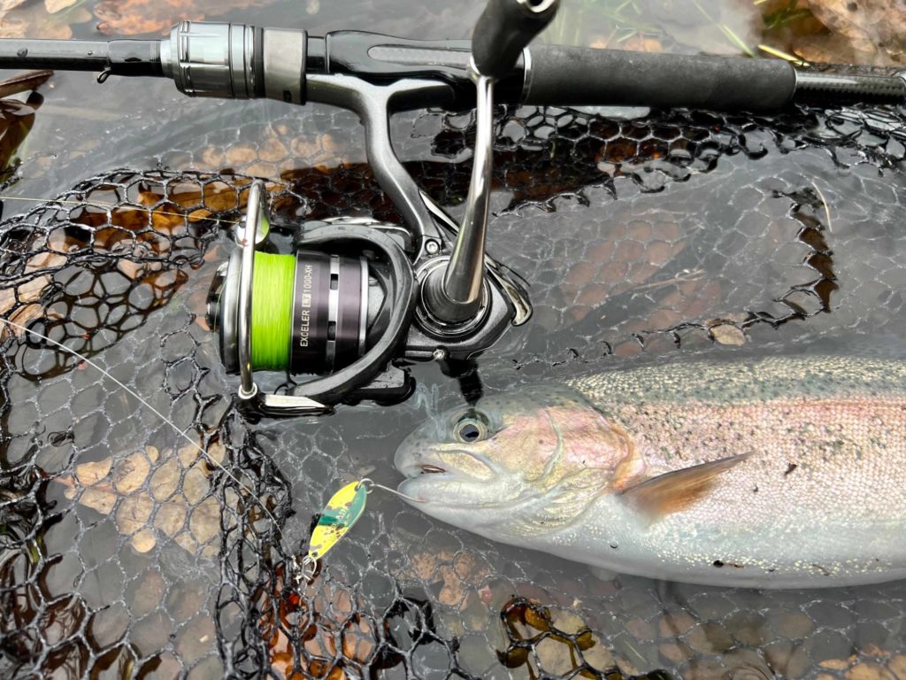 Spoon Angelrute mit leichtgängiger Rolle von Daiwa