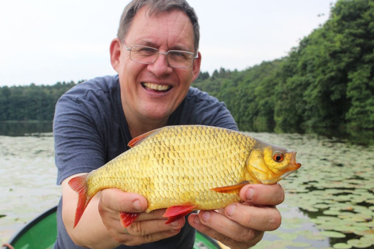 Rotfedern sind wunderschöne Fische. Als Köder sind Brot und Maden eine gute Wahl.