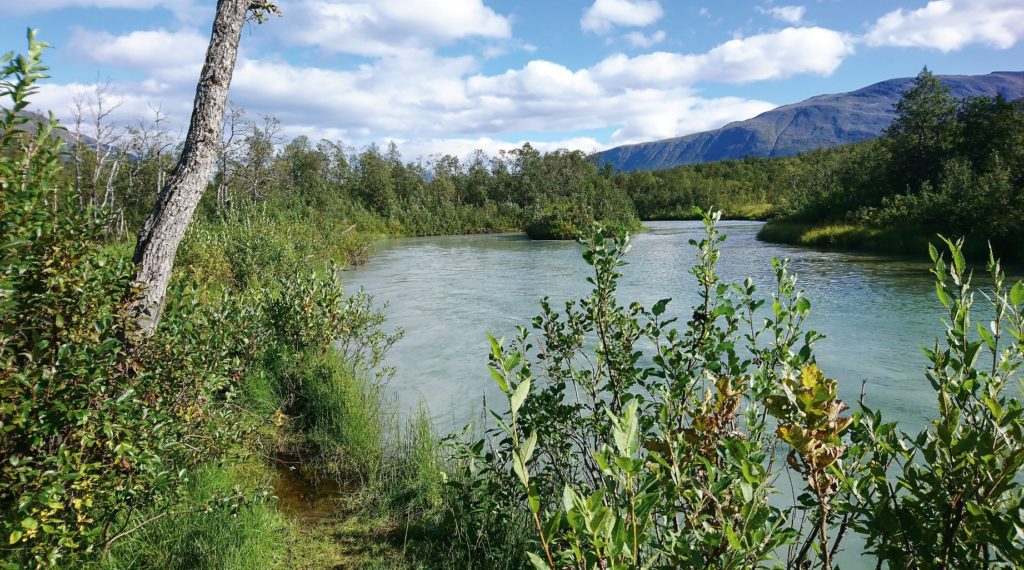 Wunderschön und fischreich: der Lachsfluss Breivikelva gleich in der Nähe des Fjords.