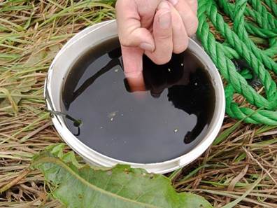 Schwarz wie Cola und mit fauligem Gestank - Eine Wasserprobe aus einem zuvor glasklaren Forellenbach; rechts im Bild: Ralf Behrens vom Angelverein Badenstedt e.V.