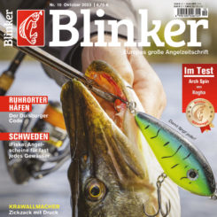 BLINKER