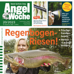 AngelWoche