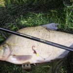 André fischt die CK Bomb mit einer 2500er Rolle und einer Schnurstärke von maximal 0,22 mm Monofil.