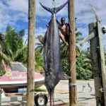 Der Angler verkaufte das Fleisch des 512 kg schweren Marlins nach dem Wiegen an die lokale Bevölkerung.