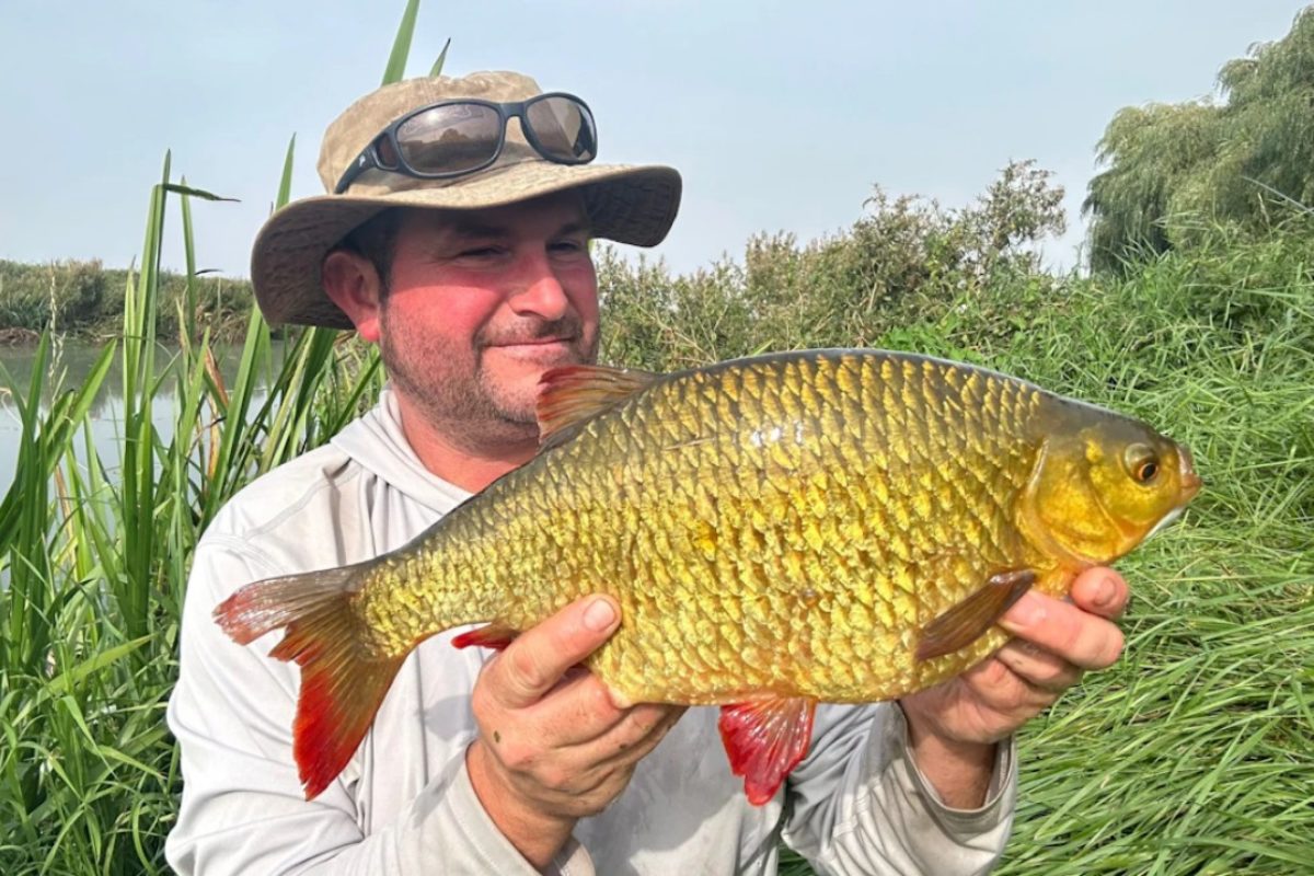 Dave Owens fing diese 1,38 kg schwere Rotfeder bei seinem letzten gezielten Ansitz des Jahres.