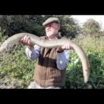 Für seinen großen Aal wartete Steve Pitts 155 Nächte am Wasser – ohne einen einzigen Biss.