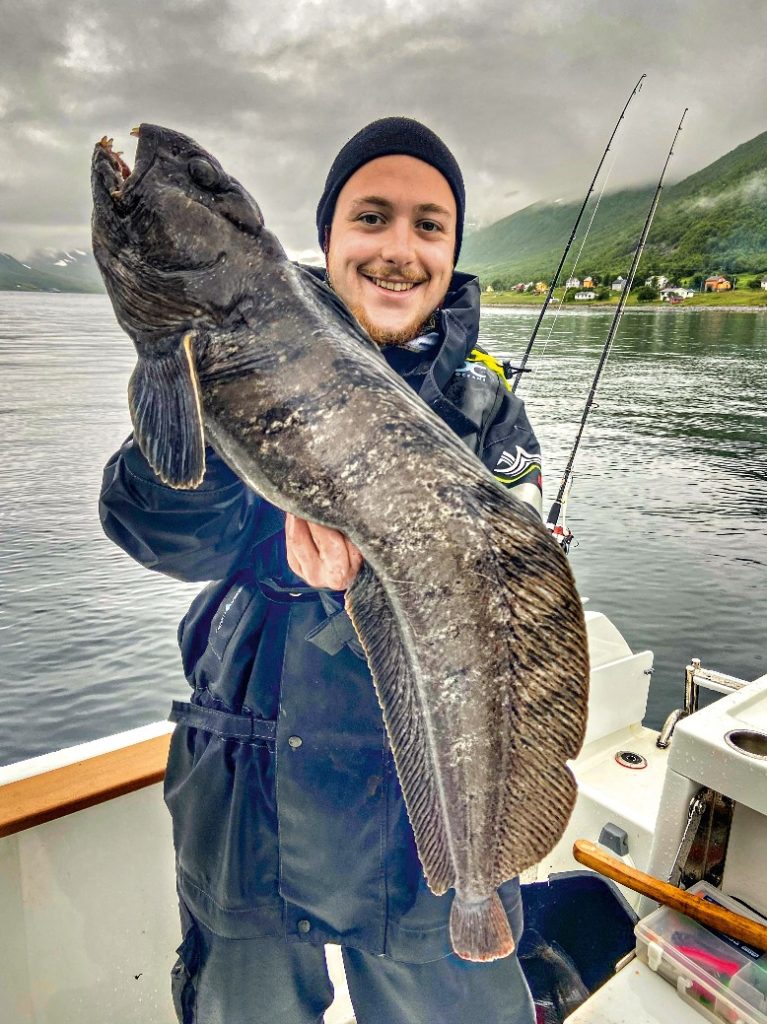 Einer von insgesamt drei Stein­beißern der Tour vor Skjervøy.