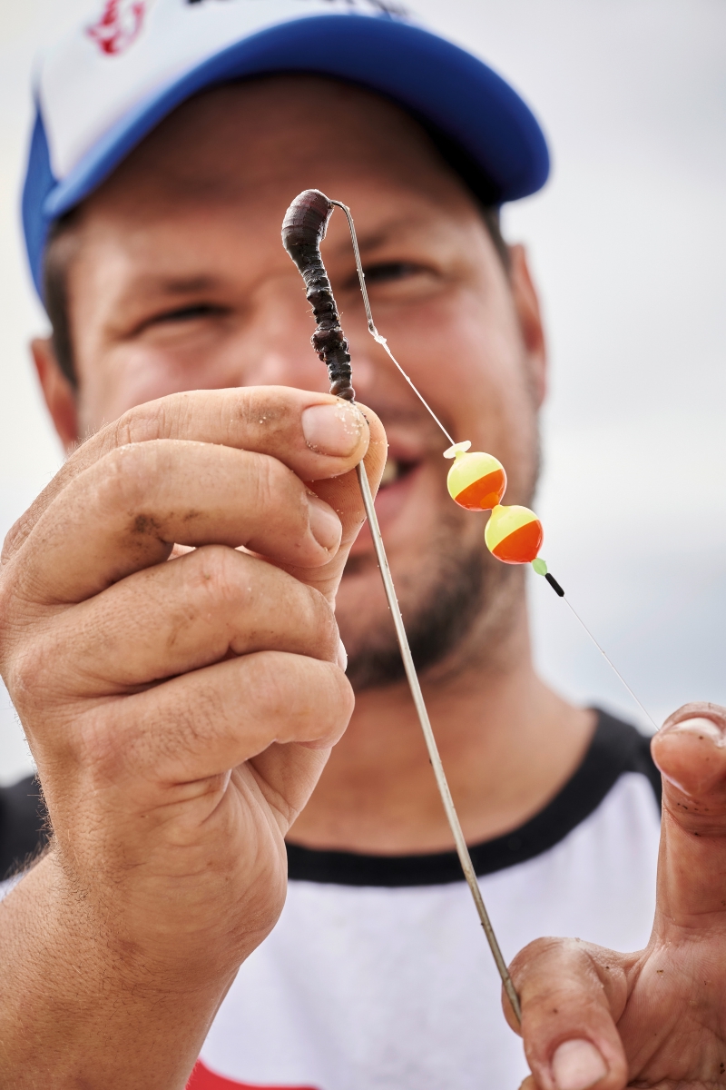 Wattwurm auf Haken aufziehen