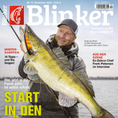 BLINKER