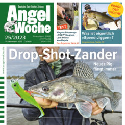 AngelWoche
