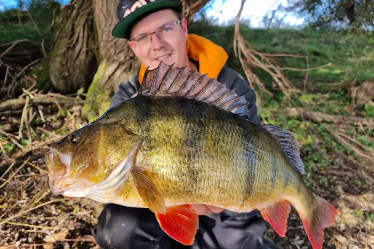 Kevin Dyszkant fing diesen 51 cm langen Barsch beim Angeln im Oktober.